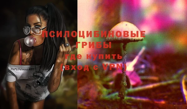 ECSTASY Горнозаводск